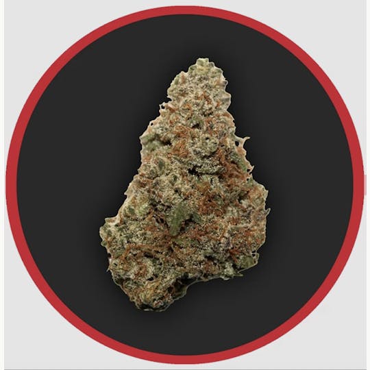 Robust - Robust | Raspberry Parfait | Flower | 3.5G - 1