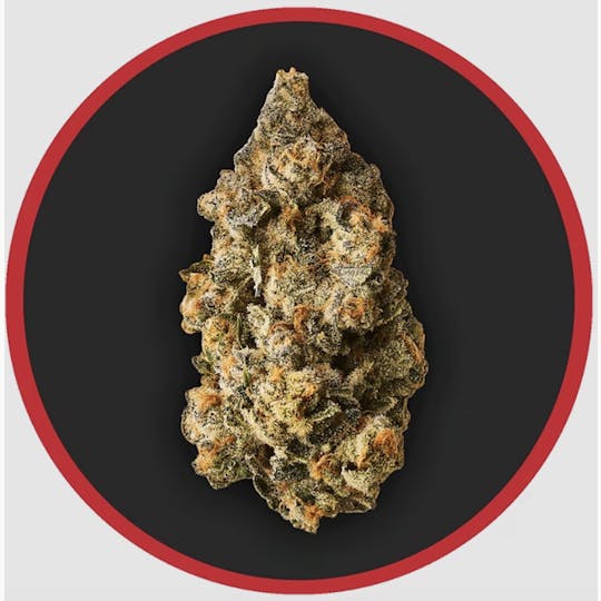 Robust - Robust | Scented Marker #1 | Flower | 3.5G - 1