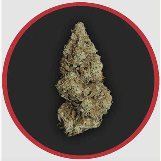 Robust - Robust | ChemD | Flower | 1G - 1