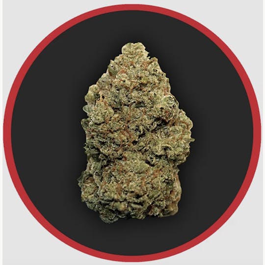 Robust - Robust | Purple Gorilla | Flower | 3.5G - 1