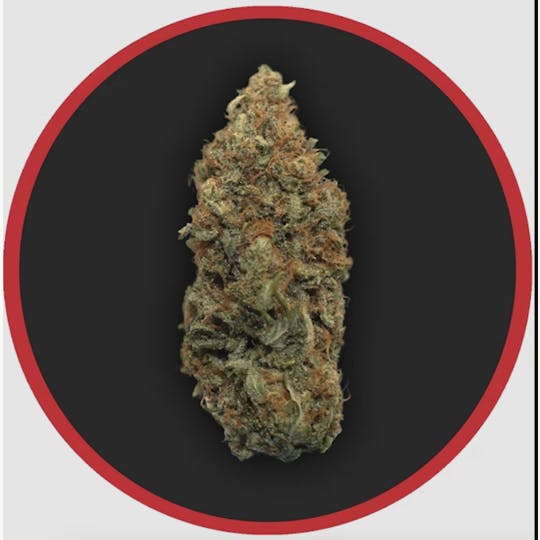 Robust - Robust | Black Hole Sun | Flower | 1G - 1