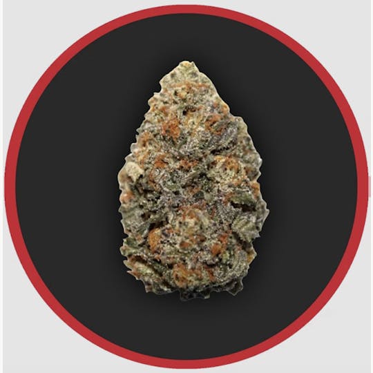Robust - Robust | Orange Runtz | Flower | 3.5G - 1