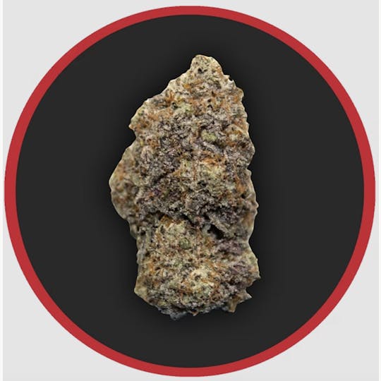 Robust - Robust | Payton's Pie | Flower | 1G - 1