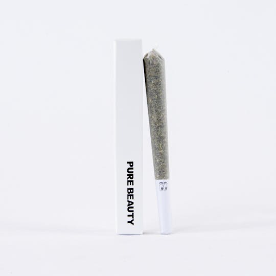 Pure Beauty - Gush Mints 1:1 CBD | Single (1g) Pre-Roll | 100% Indoor Flower - 1