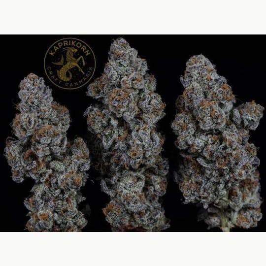 Kaprikorn - Glitter Bomb - A Buds 25.06.23 - 1
