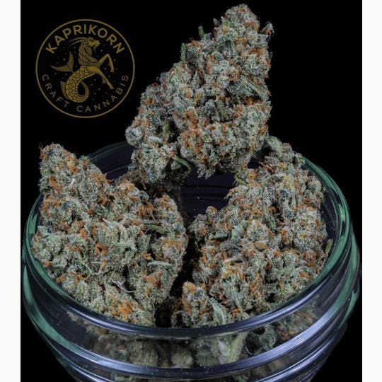 Kaprikorn - Jack Herer - A Buds 25.06.16 - 1
