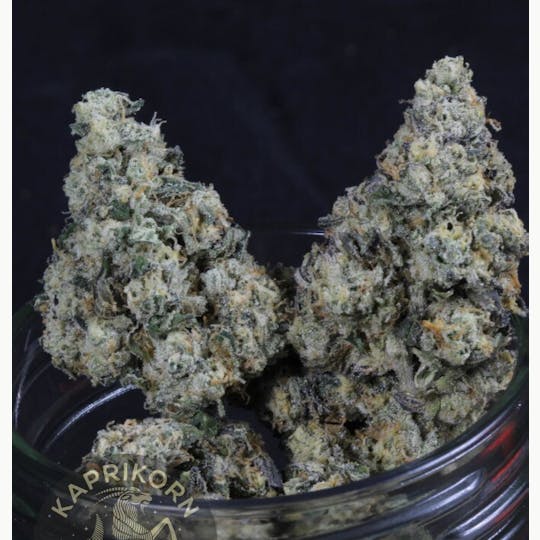 Kaprikorn - Purple Chrome - A Buds 25.06.23 - 1