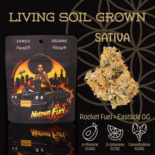 Flower of Life - Motown Fuel | Flower | 28g - 1