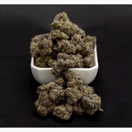 G High Joe - G High Joe - Bulk Flower - Honey Thai Stick - 1