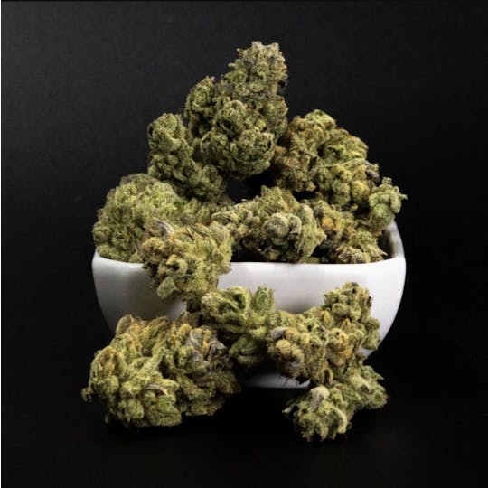 G High Joe - Teleology - Bulk Flower - Blockberry - 1