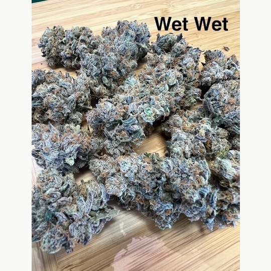 ITF - Wet Wet - 1