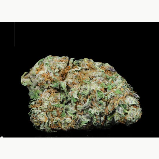 LA Native - Maybach - Sungrown - 1
