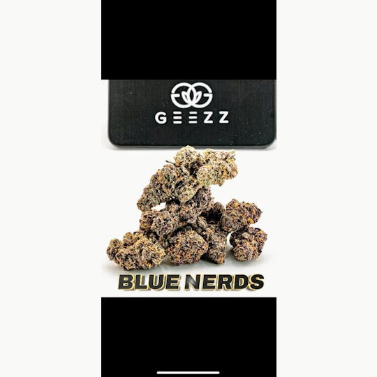 Geezz - Geezz Blue Nerdz - 1