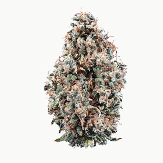 Woodward Fine Cannabis - Woodward | Cherry Jungle | Flower | 5.66G - 1
