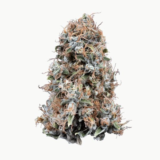 Woodward Fine Cannabis - Woodward | Blueberry Cheesecake | Flower | 14.15G - 1