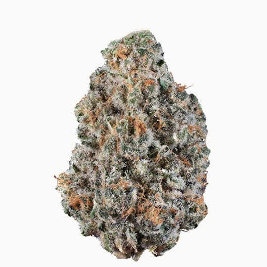 Woodward Fine Cannabis - Woodward | Frozen Gelato | Flower | 14.15G - 1