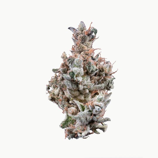 Woodward Fine Cannabis - Woodward | Mushroom Cake | Flower | 5.66G - 1