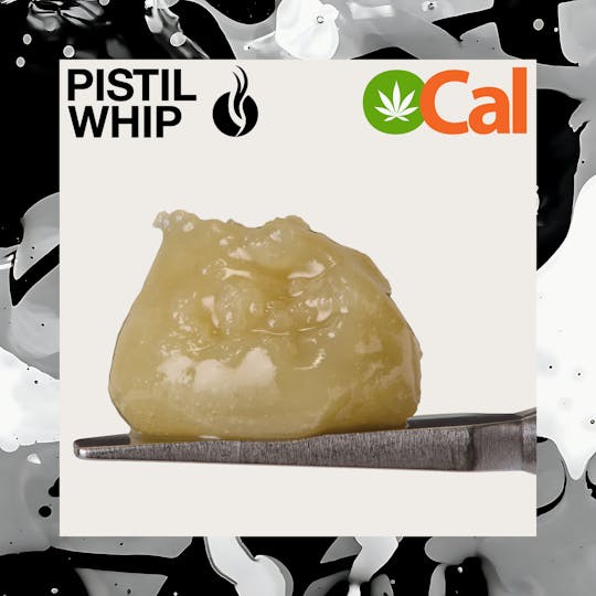 Pistil Whip - Banana Belts OCal Live Rosin Badder (1g) - 1