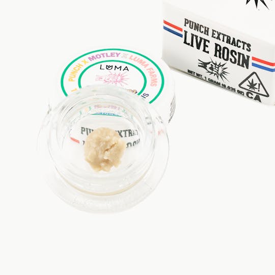 Punch Edibles & Extracts - Toronja x Gov Oasis Tier 4 Live Rosin Cold Cure Badder (1g) - 1