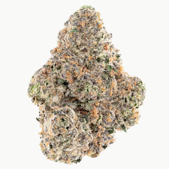 Za - ZAriah Carey Rainbow Biscotti Flower 7g - 1