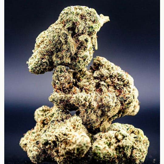 Geezz - Geezz Bubble gum runtz THC 23.6% - 1