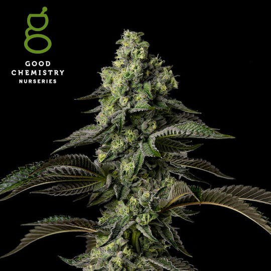 Good Chemistry - Head Hunter Flower | 3.5g - 1