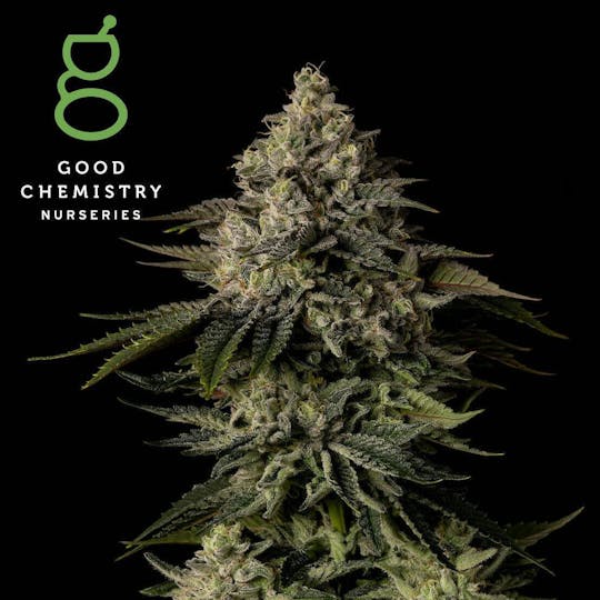Good Chemistry - The Menage Flower | 3.5g - 1