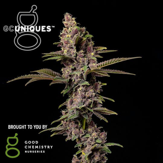 Good Chemistry - Devil's Punchbowl Flower | 3.5g - 1