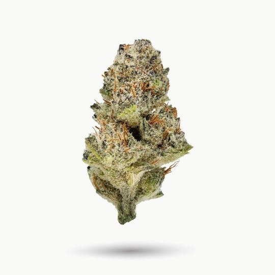 Good Chemistry - Tropicana Banana Flower | 3.5g - 1