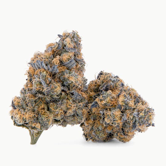 Fire Fresh Farms - Mochalatto Flower - 1