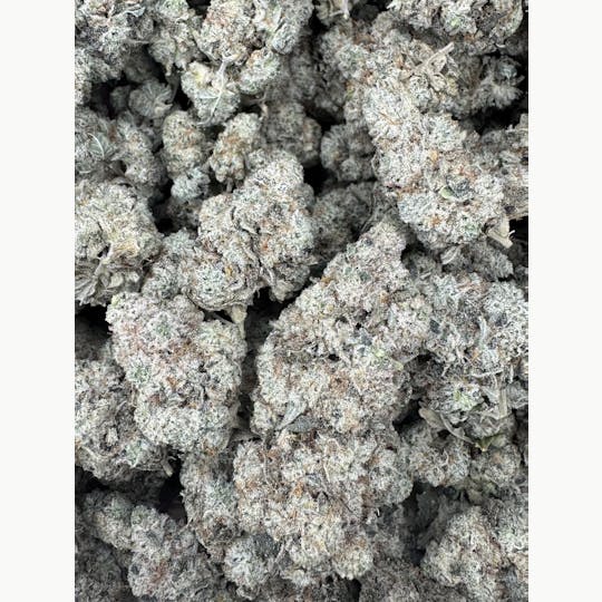 GreenOut - GORILLA GLUE - 1