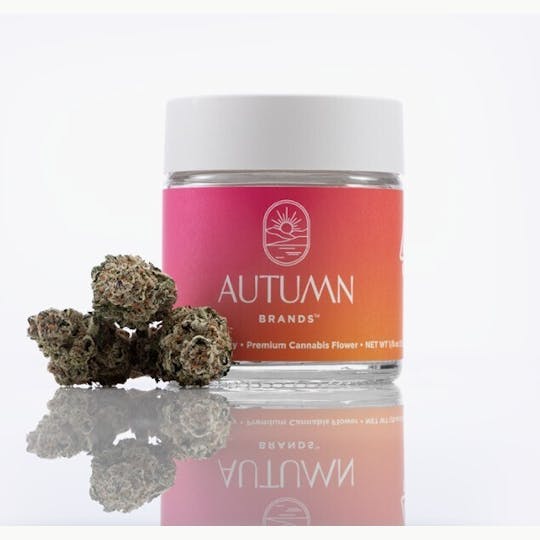 Autumn Brands - 3.5g Hybrid G-Runtz - 1