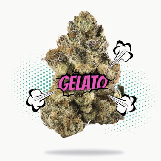 Frostiez - Gelato - Premium Shelf - Hybrid - 1