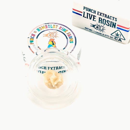 Punch Edibles & Extracts - Black Maple x Tropicanna Cookies Tier 1 Live Rosin Cold Cure Badder (1g) - 1