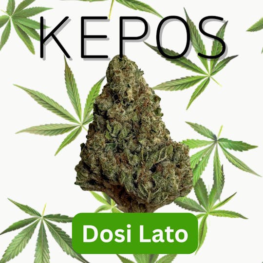 Nu Cannabis Brand - Kepos - Dosi Lato 3.5g - PREMIUM FLOWERS - 1