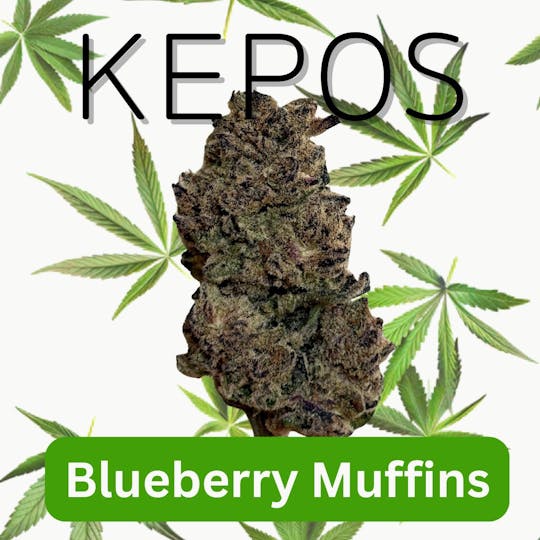 Nu Cannabis Brand - Kepos - Blueberry Muffins 3.5g - PREMIUM FLOWERS - 1