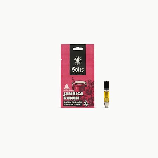 Solis - Jamaica Punch - Distillate Vape (1g) - 1