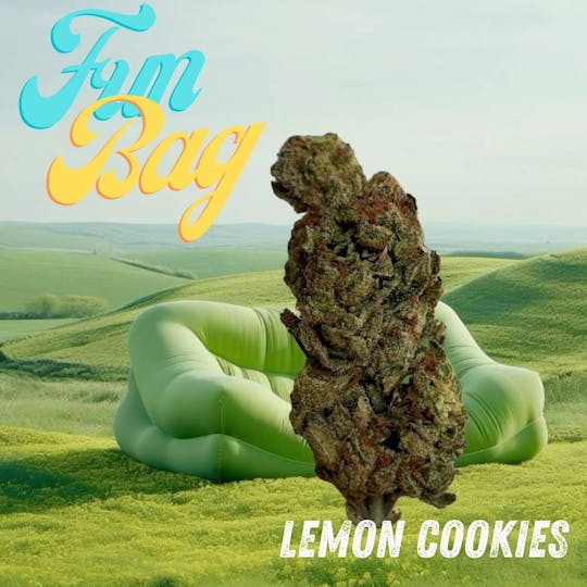 Nu Cannabis Brand - Fun Bags - Lemon Cookies 28g - 1