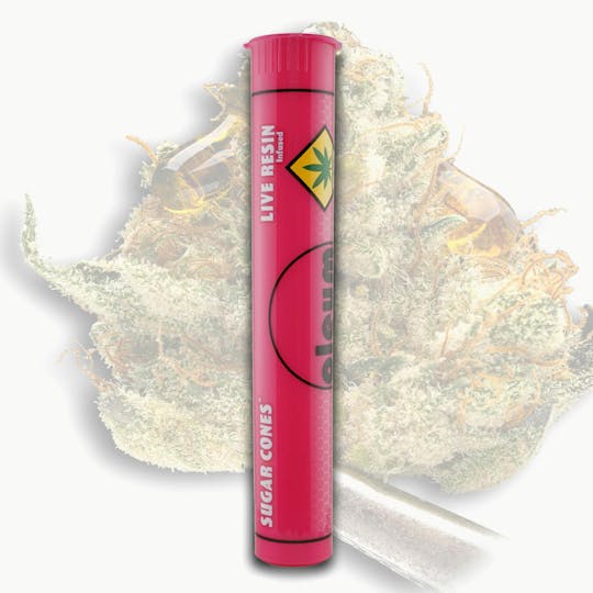 Oleum Extracts - Runtz - .5G - Infused Pre Roll 2pk - 1