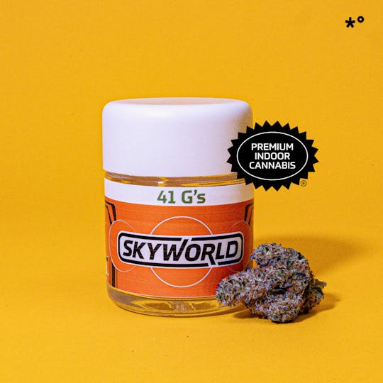 Skyworld - Skyworld | 41 G's - 1