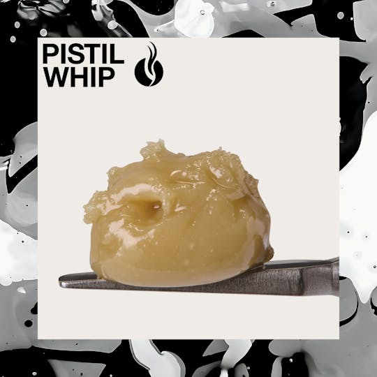 Pistil Whip - First Class Funk Live Rosin Badder (1g) - 1