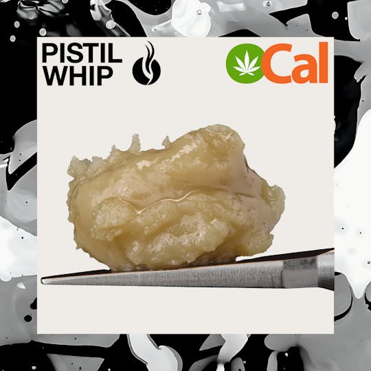 Pistil Whip - Guava Swizzle OCal Live Rosin Badder (1g) - 1