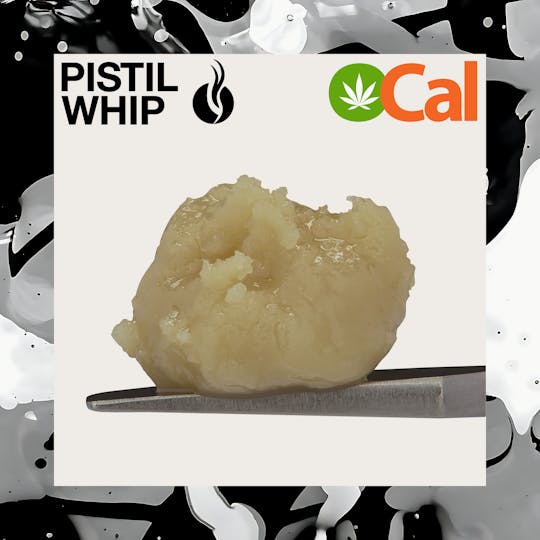 Pistil Whip - Sour Kush Burger OCal Live Rosin Badder (1g) - 1