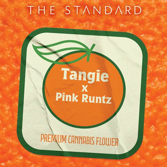 The Standard - The Standard - Tangie x Pink Runtz Flower - 1