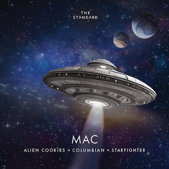 The Standard - The Standard - MAC Flower - 1