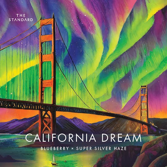 The Standard - The Standard - California Dreamin Flower - 1