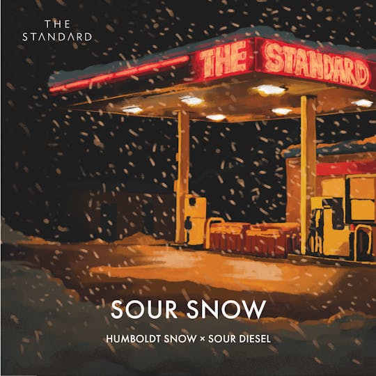 The Standard - The Standard - Sour Snow Flower - 1