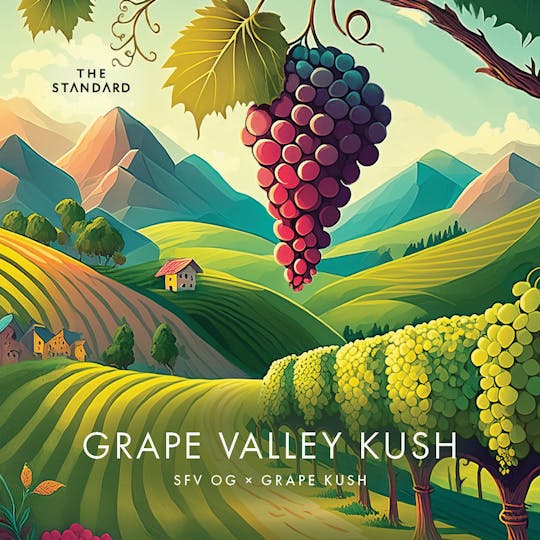 The Standard - The Standard - Grape Valley Kush Flower - 1