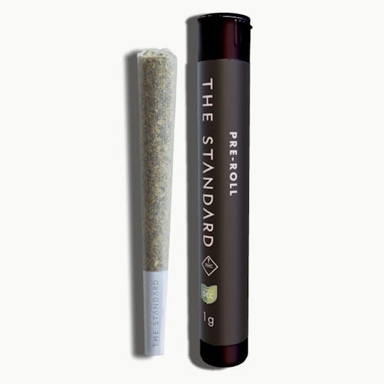 The Standard - The Standard - Gyros Pre Roll 0.5g - 1