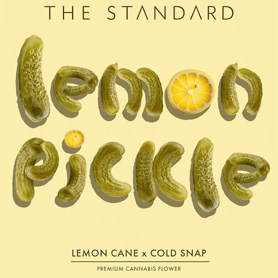 The Standard - The Standard - Lemon Pickle Flower - 1